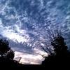70429 - Unmoderated Can't Be Unseen - What Has Been Seen Can't Be Unseen Pictures - 6
