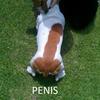 92373 - Unmoderated Can't Be Unseen - What Has Been Seen Can't Be Unseen Pictures - 1