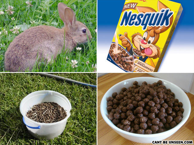 Nesquick