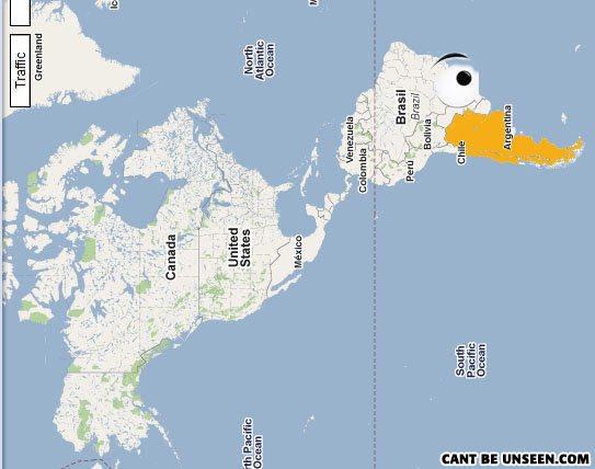 A duck