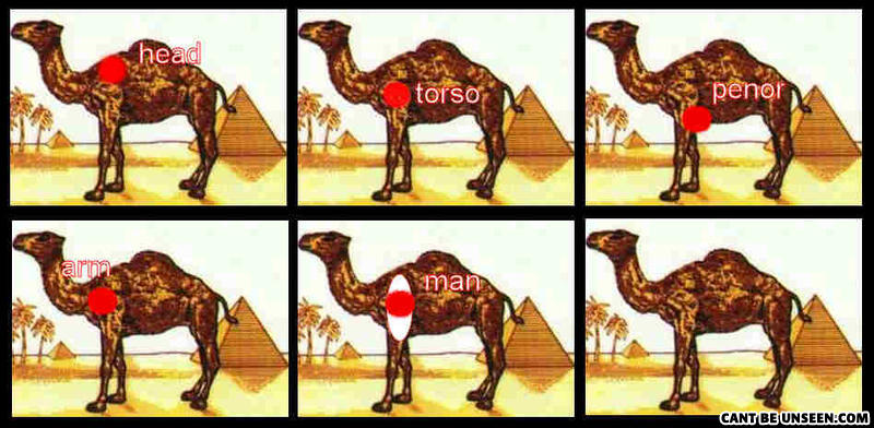 483306926-cammanr