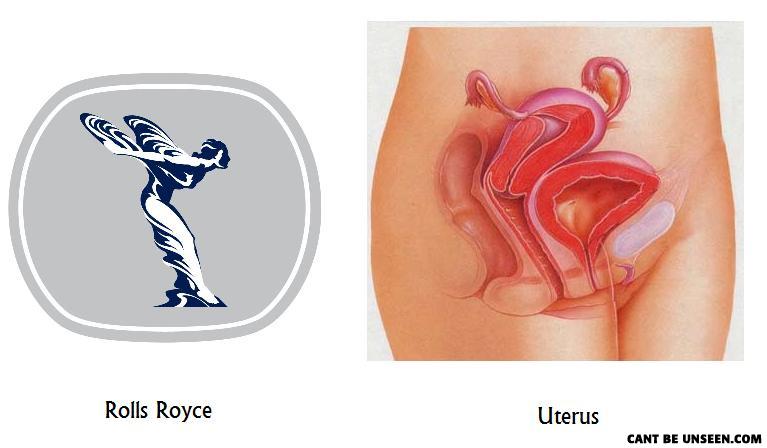 Uterolls