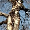 19263 - Unmoderated Can't Be Unseen - What Has Been Seen Can't Be Unseen Pictures - 8