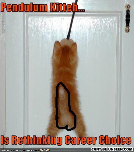 Funny-pictures-cat-is-pendulum