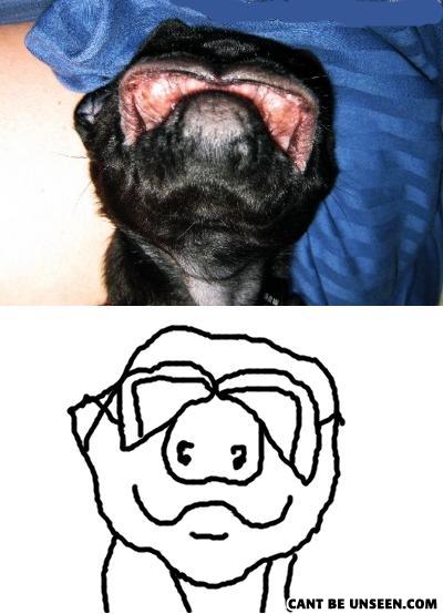 Loldog