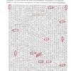 30073 - Unmoderated Can't Be Unseen - What Has Been Seen Can't Be Unseen Pictures - 1