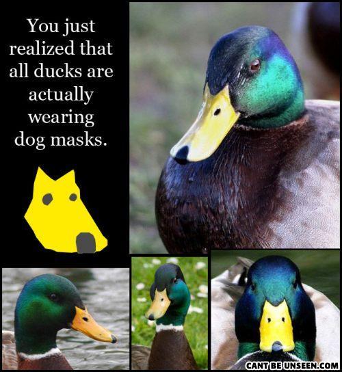 1282741165522_1_